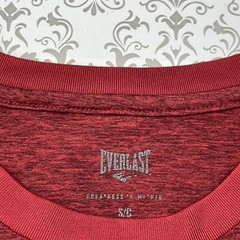 Everlast Greatness is within Dark Red Athletic Training Running T-Shirt Men’s S