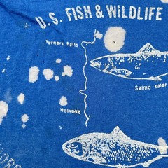 U.S. Fish & Wildlife Lab 1990 WMass Made USA Hanes XL Blue t-Shirt Bleach spots