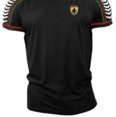 Men’s Bucheli T Shirt,Italian Style,Cotton,Slim Fit,Stretch M L XL….A11.A
