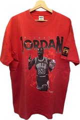 Vintage 90s Michael Jordan Bulls Shirt Lot Nutmeg Salem Starter Changes XL