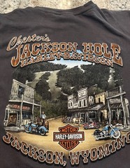HARLEY DAVIDSON Vintage Tee Shirt JACKSON HOLE WYOMING Long Sleeve X-Large NICE!