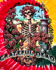 Grateful Dead Bertha Multi-Color Tie Dye T-Shirt Size Large Brand New