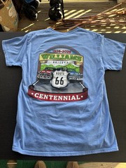 Williams Arizona Vintage Tee Shirt Baby Blue Souvenir Cotton