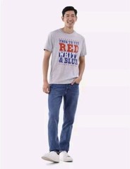 AMERICA TRUE TO THE RED WHITE & BLUE MENS GRAY T-SHIRT SIZE 3XL (54-56)
