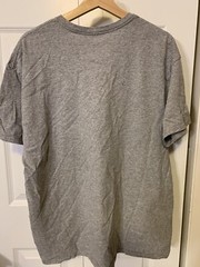 Disney The Lion King Mens Sz XL Shirt Mufasa Sarabi Simba Zazu Gray