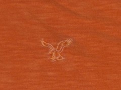 American Eagle Outfitters T Shirt Men Large Orange Athletic Fit Casual Everyday