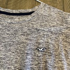 Hollister Men’s Curved Hem Short Sleeve Tee Heather Gray Black Logo Size XL