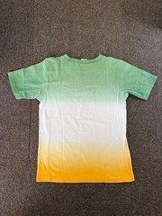 [RARE] Champion Reverse Weave T-Shirt Men’s Medium 3-Color Gradient Fade