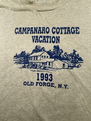 Vintage Shirt Mens Large Gray Old Forge NY Single Stitch 90s Streetwear