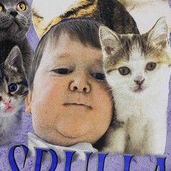 Full Send Hasbulla Kittens Tie Dye Shirt Adult Large Purple Cats Kitty Nelk Boys