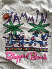 Vintage Disney Blizzard Beach T Shirt Mens L Rare 90s