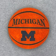 Michigan Wolverines Shirt Mens Large Gray NCAA Basketball Graphic Tee Starter