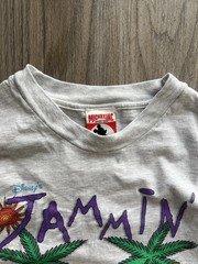 Vintage Disney Blizzard Beach T Shirt Mens L Rare 90s