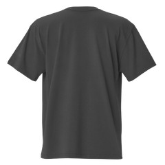 Oversized faded t-shirt (SOUTH CAROLINA)