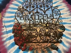 Vintage Liquid Blue Grateful Dead 1995 Tie Dye T-Shirt XL 30 Years Skeleton Rose