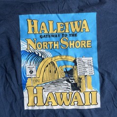 Cheater Five Haleiwa Hawaii North Shore Vintage USA Made Graphic T Shirt