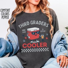 Third Grade Teacher Shirt Funny Cooler Teacher Back To School Teacher Gift Tee
