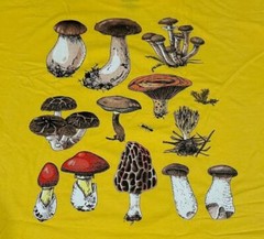 1 or 5 Pack Men’s Earthbound Trading Co. Mushroom Forest Fungi T-Shirt Yellow XL