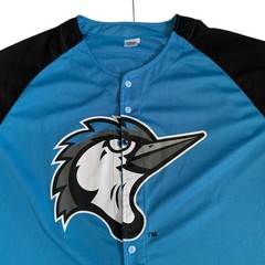 Success Brand MiLB Adult Men’s Size XL Fayetteville Woodpeckers #22 Mesh Jersey