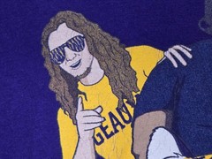 Barstool Sports Shirt Big Cat PFT CommenterMike The Tiger LSU Purple Size XL