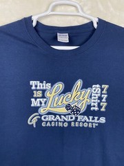 Gildan T Shirt Mens Plus 4X Graphic Print 100% Cotton Grands Fall Casino Resort