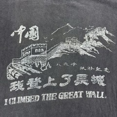 Vintage I Climbed The Great Wall T Shirt Adult Large Tourist China Hipster