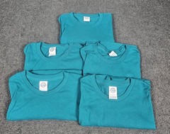 Men’s Crew Neck T Shirts 2XL Delta Pro Weight Teal Blue Cotton 5 Pk Short Sleeve