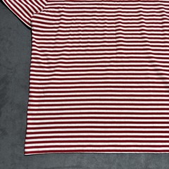 Polo Ralph Lauren Shirt Men’s XL Red White Custom Fit Slim Where’s Waldo