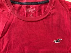 Hollister Men’s Medium Must-Have Collection Crew Neck T-Shirt 100% Cotton Red