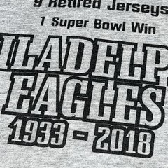 Philadelphia Eagles 1933-2018 Priceless T Shirt Size Large Gildan Hammer Gray