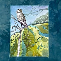 Graphic WHITE OWL & Forest Motif T Shirt Men Medium Teal Organic Cotton Tie-Dye