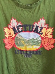 Asos Designs Mens T-Shirt Green Knitted Crew Neck Large Nature Leaves Mountains