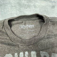 Harry Potter Hogwarts Shirt Small Gray School Of Witch Graphic Tee Wizarding