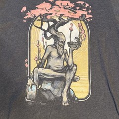 Dryad Multicolor on Heather Black Triblend Unisex Large