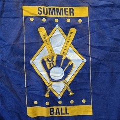VTG Lowpoint Washburn Summer Ball Baseball Tee #20 S Made in USA