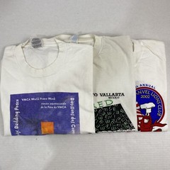 Wholesale Lot of 30 Modern/Vintage Mix Short Sleeve Tee Shirts (Sizes In Desc)