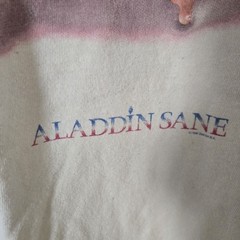 David Bowie Aladdin Sane T-Shirt, Size Large. Free Shipping