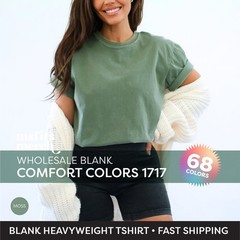 🔥Comfort Colors 1717 Unisex Short Sleeve Heavyweight TShirt Vintage Washed