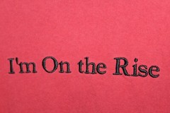 True Religion “I’m On The Rise” Deep-Red Long Sleeve T Shirt Men MEDIUM