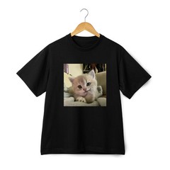 Adorable Kitten Moments Series T-shirt Trendy Unisex Tee Streetwear