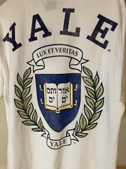Double Sided Preppy Yale University Shirt Men MEDIUM Short Sleeve Tee New Cond.
