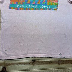 Vintage 90s Big Cedar Lodge Resort Beach Surf Tropical Souvenir T-Shirt – Large