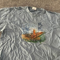 Carnival T-Shirt Mens Size XXXL Blue Livorno Italy Cruise Graphic Short Sleeve
