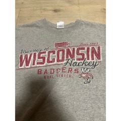 University of Wisconsin Badgers Hockey T-Shirt Mens Size Medium Kohl Center NCAA