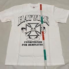 Haywire Hardcore Punk tour indonesia 2026 Tshirt band title fight