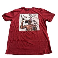 Gildan Soft Style Ringspun Red T-Shirt Kiwi Size Large Pain Paints Paintings