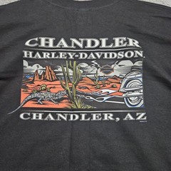 Vintage Harley-Davidson Shirt Mens Large Wolf Moon Chandler AZ Made USA 2000s