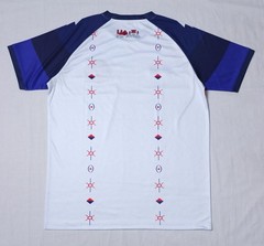 Haiti World Cup 2026 Soccer Jersey Custom Name Number Mesh V-Neck T-Shirt
