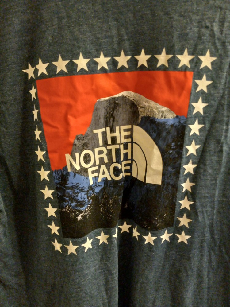 Mens The North Face Graphic Logo Casual Outdoors Large Blue Heather T-Shirt
