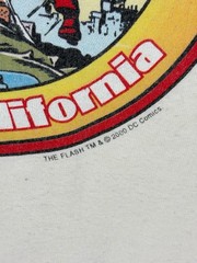 Vtg The Flash T-shirt Men’s XL DC Comics 2000 Y2K Flash Of Two Worlds Comic Con
